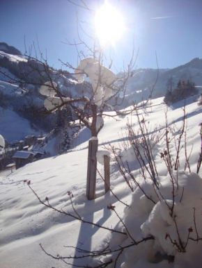 Schaidreithof, Großarl, Österreich